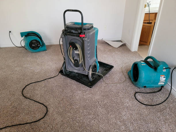 Best Residential water damage restoration  in Stewartville, AL