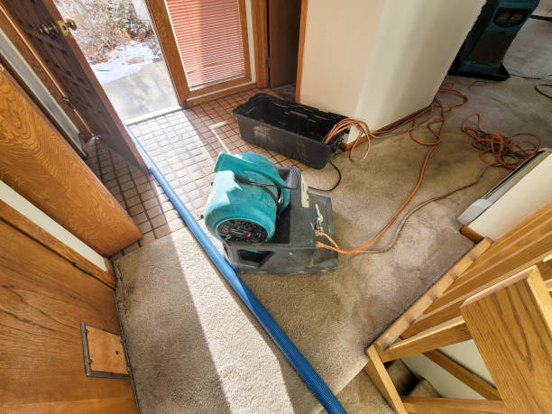 Water damage restoration mold remediation in Stewartville, AL