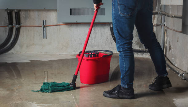 Sewage cleanup and water damage restoration in Stewartville, AL