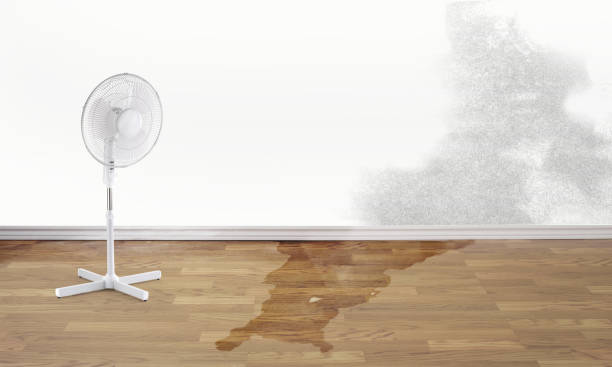 Best Emergency water damage restoration  in Stewartville, AL