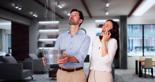 Carpet water damage restoration in Stewartville, AL
